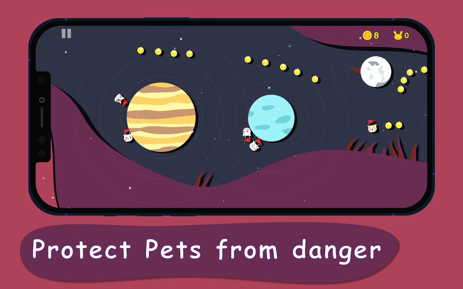 Space Pets: Gravity Chaos